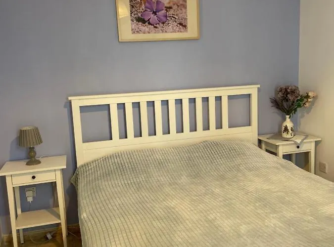 Amorgos Gardens Apartment